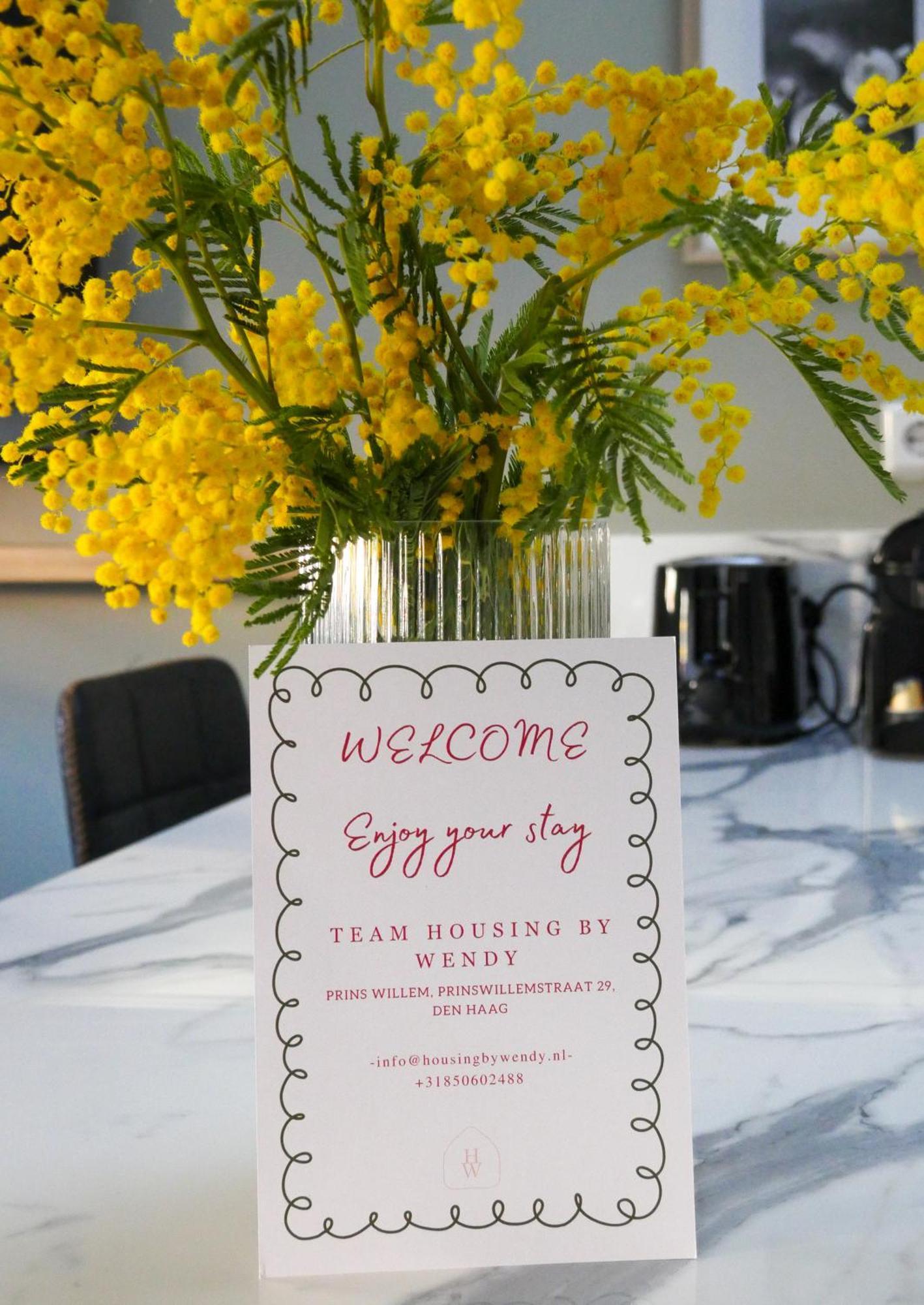 Hosted By Wendy Willem 3 * Den Haag